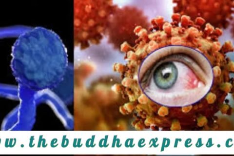 म्युकोर्माइकोसिस (कालो ढुसी) संक्रमण त्रास नेपालमाः जान्नै पर्ने कुराहरू –