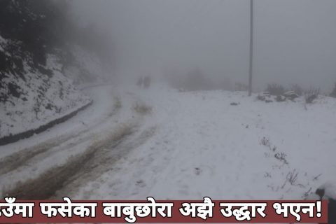 हिउँमा फसेका बाबुछोरा गत चार दिन देखि उद्धार गर्न सकिएन