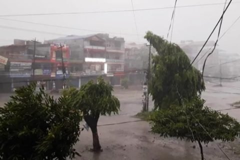 हावाहुरीले जनजीवन प्रभावित: मधेश प्रदेशमा २ विद्यार्थी र एक महिलाको मृत्यु